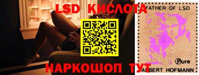 прущие крисы Будённовск