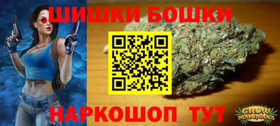 прущие крисы Будённовск