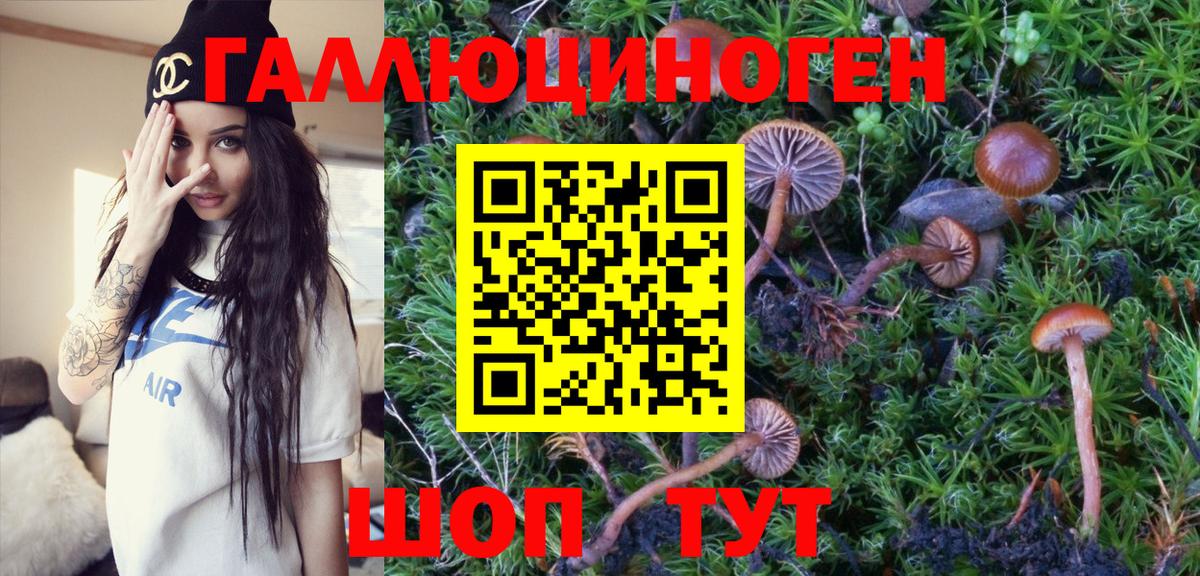 Галлюциногенные грибы MAGIC MUSHROOMS  Вход с VPN  Псилоцибиновые грибы GOLDEN TEACHER  Иркутск 